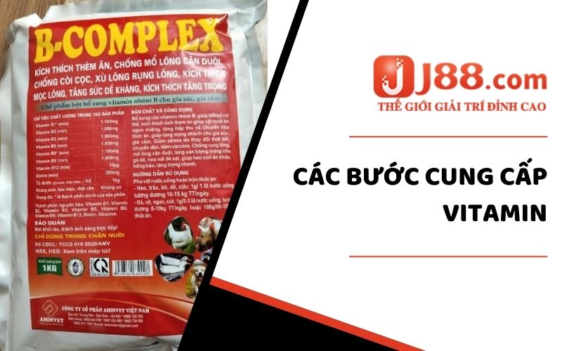 Các bước cung cấp Vitamin cho gà