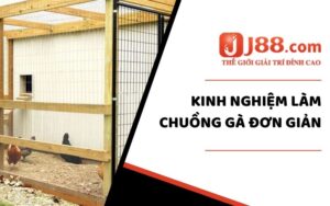 Kinh nghiệm làm chuồng gà đơn giản